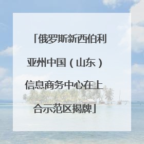俄罗斯新西伯利亚州中国（山东）信息商务中心在上合示范区揭牌