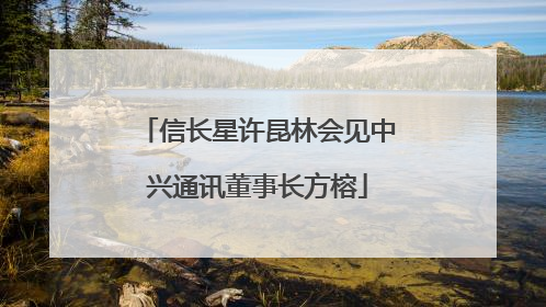 信长星许昆林会见中兴通讯董事长方榕