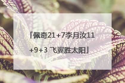 佩奇21+7李月汝11+9+3 飞翼胜太阳