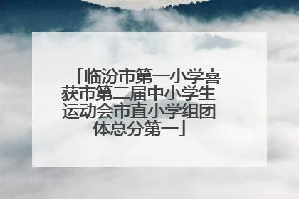 临汾市第一小学喜获市第二届中小学生运动会市直小学组团体总分第一