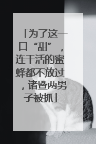为了这一口“甜”，连干活的蜜蜂都不放过，诸暨两男子被抓