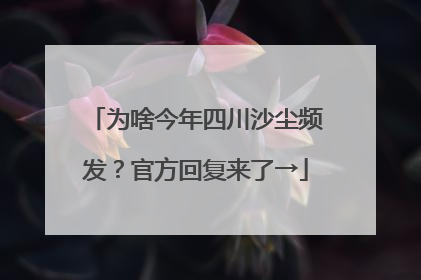 为啥今年四川沙尘频发？官方回复来了→