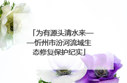 为有源头清水来——忻州市汾河流域生态修复保护纪实