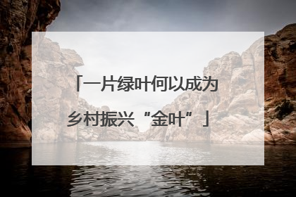一片绿叶何以成为乡村振兴“金叶”