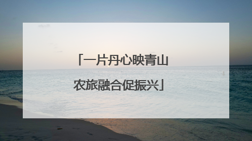 一片丹心映青山 农旅融合促振兴