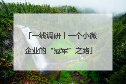 一线调研丨一个小微企业的“冠军”之路