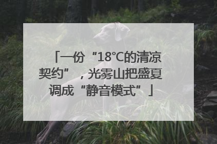 一份“18℃的清凉契约”，光雾山把盛夏调成“静音模式”