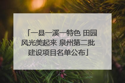 一县一溪一特色 田园风光美起来 泉州第二批建设项目名单公布