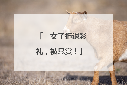 一女子拒退彩礼，被悬赏！
