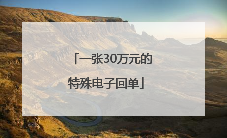 一张30万元的特殊电子回单