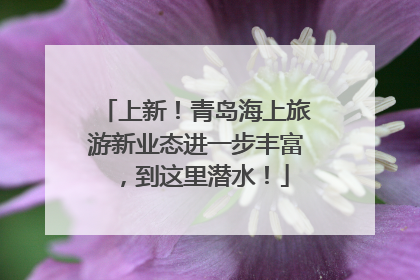 上新！青岛海上旅游新业态进一步丰富，到这里潜水！