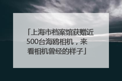上海市档案馆获赠近500台海鸥相机，来看相机曾经的样子