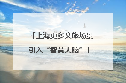 上海更多文旅场景引入“智慧大脑”