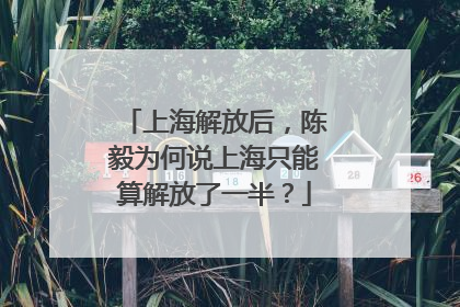 上海解放后，陈毅为何说上海只能算解放了一半？