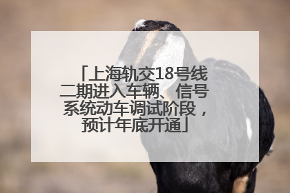 上海轨交18号线二期进入车辆、信号系统动车调试阶段，预计年底开通