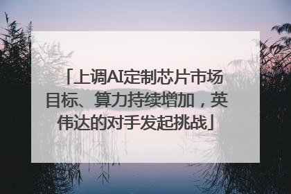 上调AI定制芯片市场目标、算力持续增加，英伟达的对手发起挑战