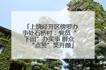 上饶经开区傍罗办事处石桥村：党员“下田”办实事 群众“点赞”笑开颜