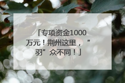 专项资金1000万元！荆州这里，“羽”众不同！