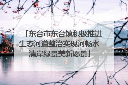 东台市东台镇积极推进生态河道整治实现河畅水清岸绿景美新愿景