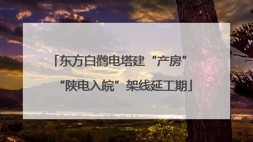 东方白鹳电塔建“产房” “陕电入皖”架线延工期
