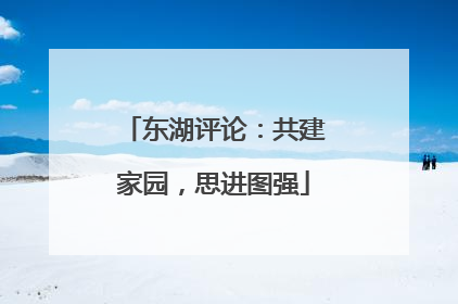 东湖评论：共建家园，思进图强