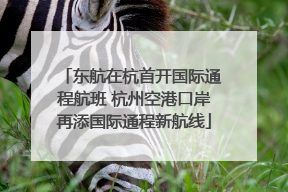 东航在杭首开国际通程航班 杭州空港口岸再添国际通程新航线