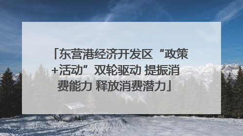 东营港经济开发区“政策+活动”双轮驱动 提振消费能力 释放消费潜力