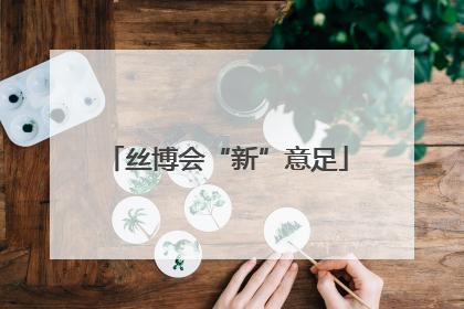 丝博会“新”意足