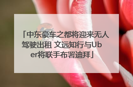 中东豪车之都将迎来无人驾驶出租 文远知行与Uber将联手布署迪拜