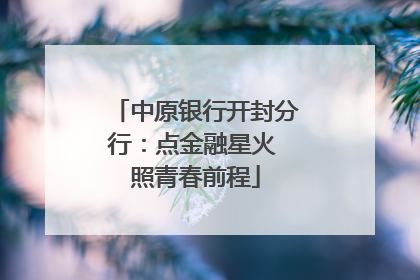 中原银行开封分行：点金融星火 照青春前程