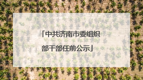 中共济南市委组织部干部任前公示