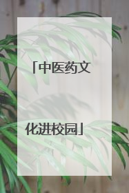 中医药文化进校园