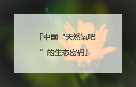 中国“天然氧吧”的生态密码