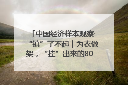 中国经济样本观察·“镇”了不起｜为衣做架，“挂”出来的80亿元“衣架产业”
