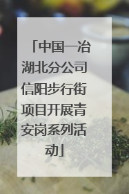 中国一冶湖北分公司信阳步行街项目开展青安岗系列活动
