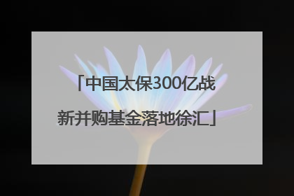 中国太保300亿战新并购基金落地徐汇