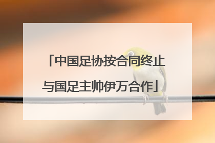 中国足协按合同终止与国足主帅伊万合作