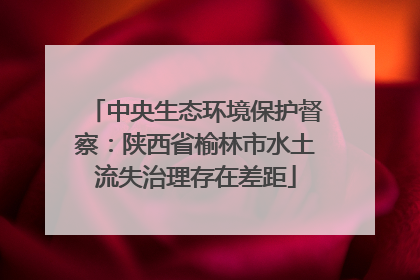 中央生态环境保护督察：陕西省榆林市水土流失治理存在差距