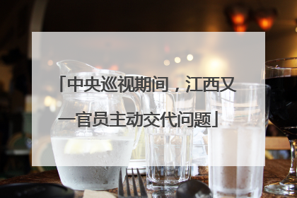 中央巡视期间，江西又一官员主动交代问题