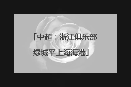 中超：浙江俱乐部绿城平上海海港