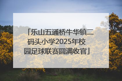 乐山五通桥牛华镇二码头小学2025年校园足球联赛圆满收官