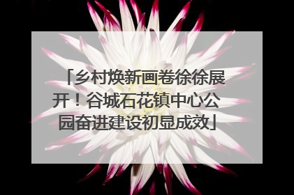 乡村焕新画卷徐徐展开！谷城石花镇中心公园奋进建设初显成效