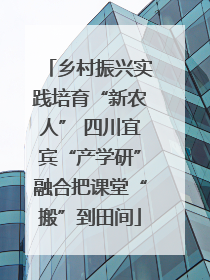 乡村振兴实践培育“新农人” 四川宜宾“产学研”融合把课堂“搬”到田间