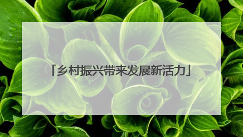 乡村振兴带来发展新活力