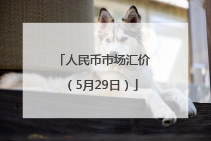 人民币市场汇价（5月29日）