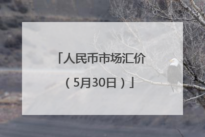 人民币市场汇价（5月30日）