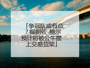 争冠队或有意？曝朗佐-鲍尔预计将被公牛摆上交易货架