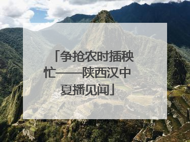 争抢农时插秧忙——陕西汉中夏播见闻