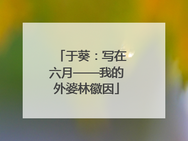 于葵：写在六月——我的外婆林徽因