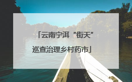 云南宁洱“街天”巡查治理乡村药市